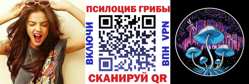 Псилоцибиновые грибы Cubensis  Онега 